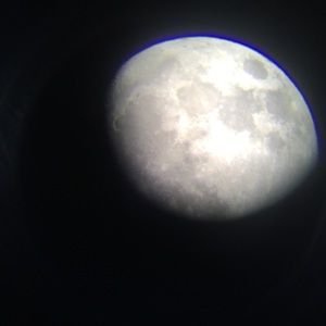 Meet your Posher, Fritz